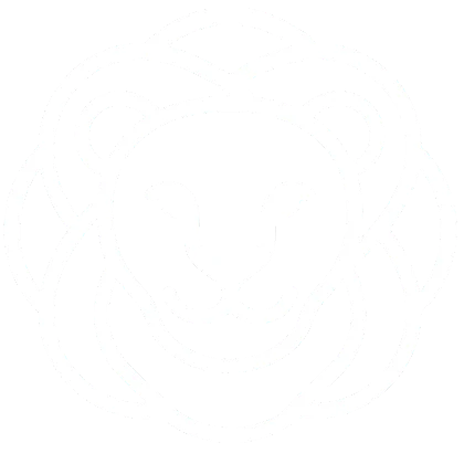 LEO Logo